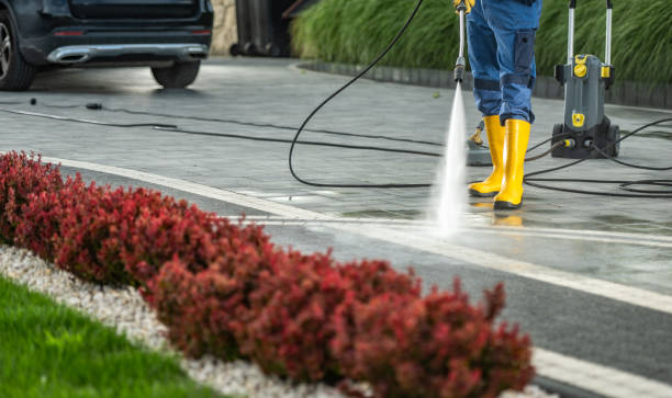 Animal Enclosure Cleaning in Montegut, LA